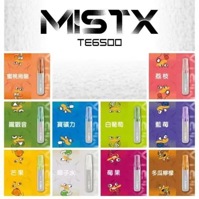 MISTX TE6500 鴨嘴獸 一次性電子煙 拋棄式
